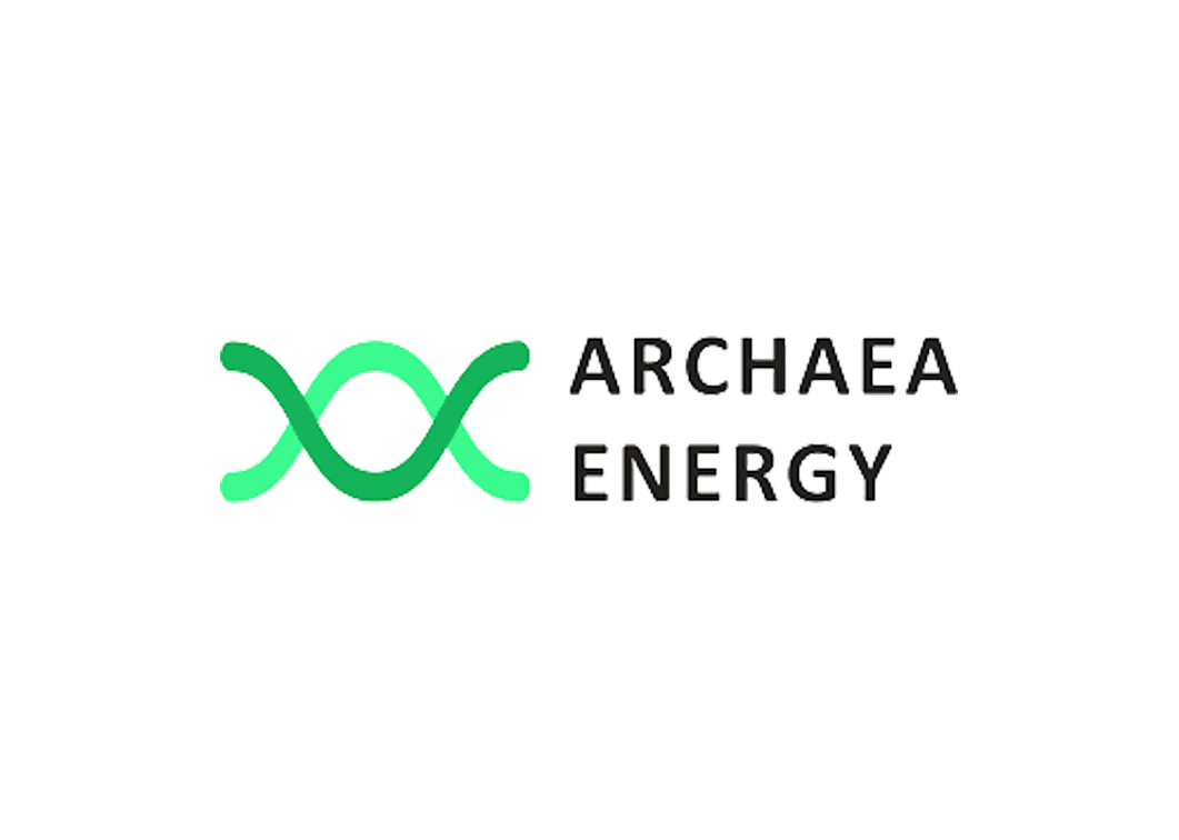 Archaea