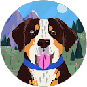 Louis parker profile picture